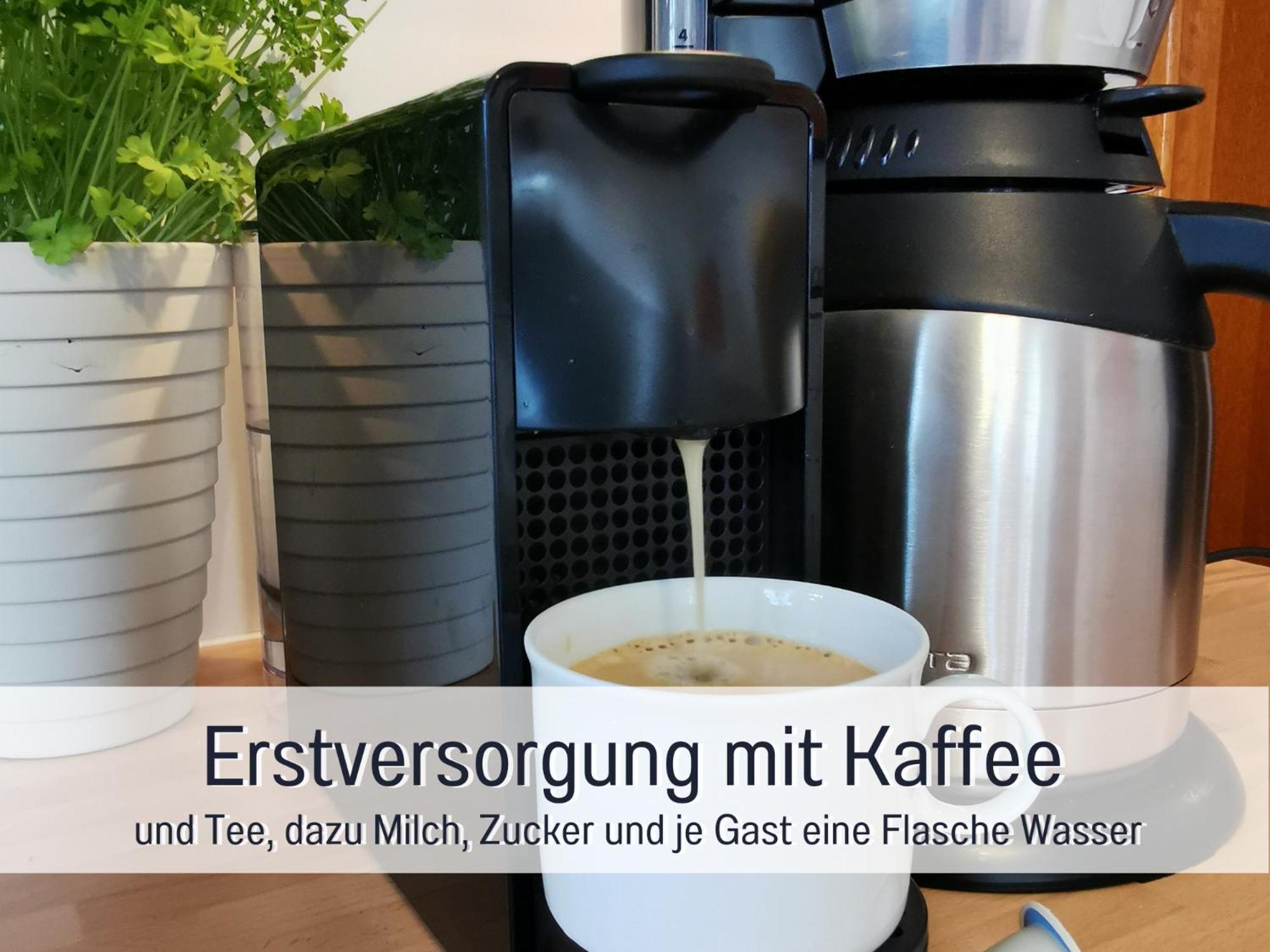 Erden Ferienhaus Schwaab-Scherr, Genau Zwischen Bernkastel-Kues Und Traben-Trarbach, Mit Kostenlosem Oepnv-Ticket Fuer Bus Und Bahn, Parkplaetzen, Fahrradgarage Und Vielen Tipps מראה חיצוני תמונה