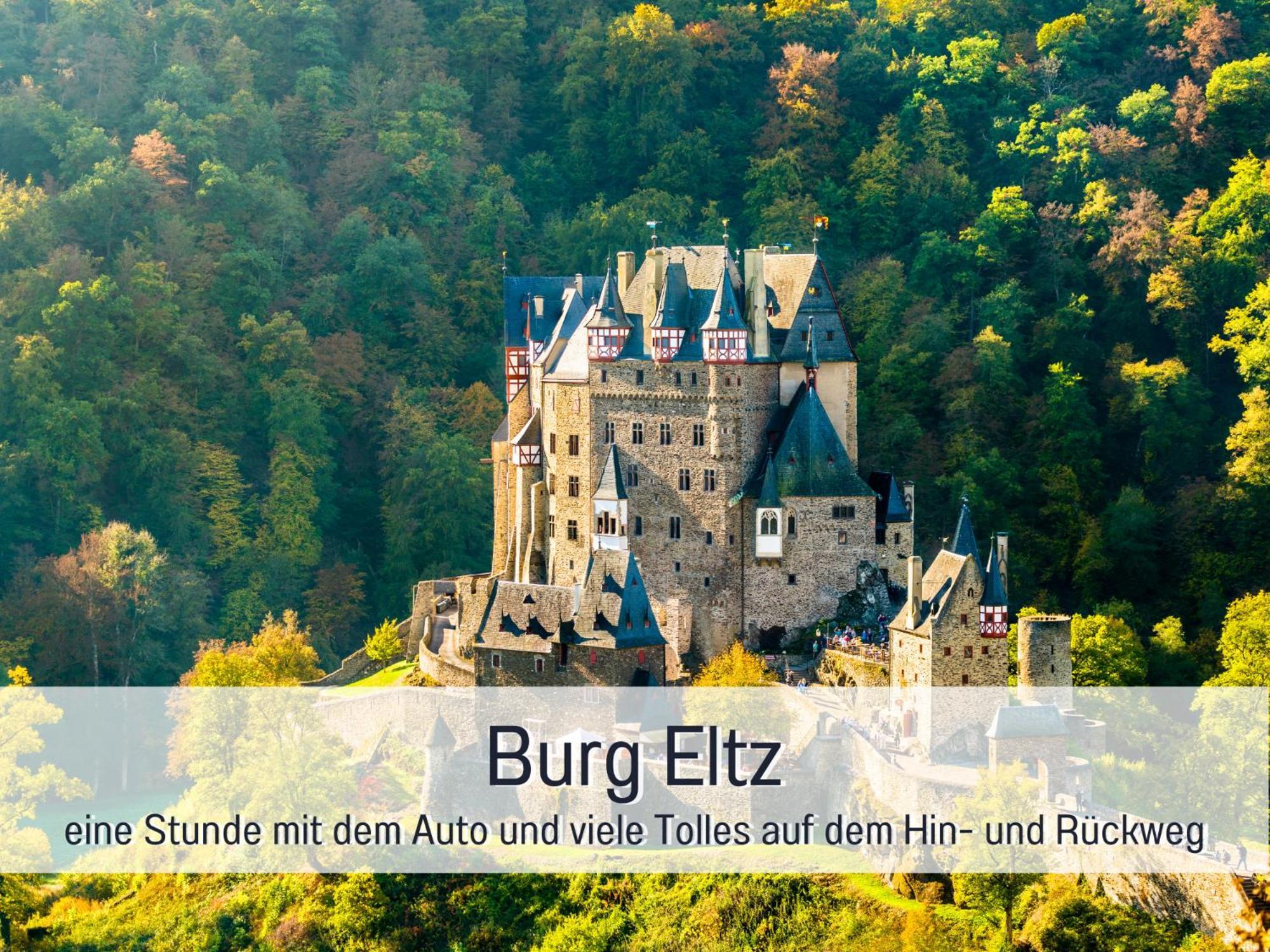 Erden Ferienhaus Schwaab-Scherr, Genau Zwischen Bernkastel-Kues Und Traben-Trarbach, Mit Kostenlosem Oepnv-Ticket Fuer Bus Und Bahn, Parkplaetzen, Fahrradgarage Und Vielen Tipps מראה חיצוני תמונה