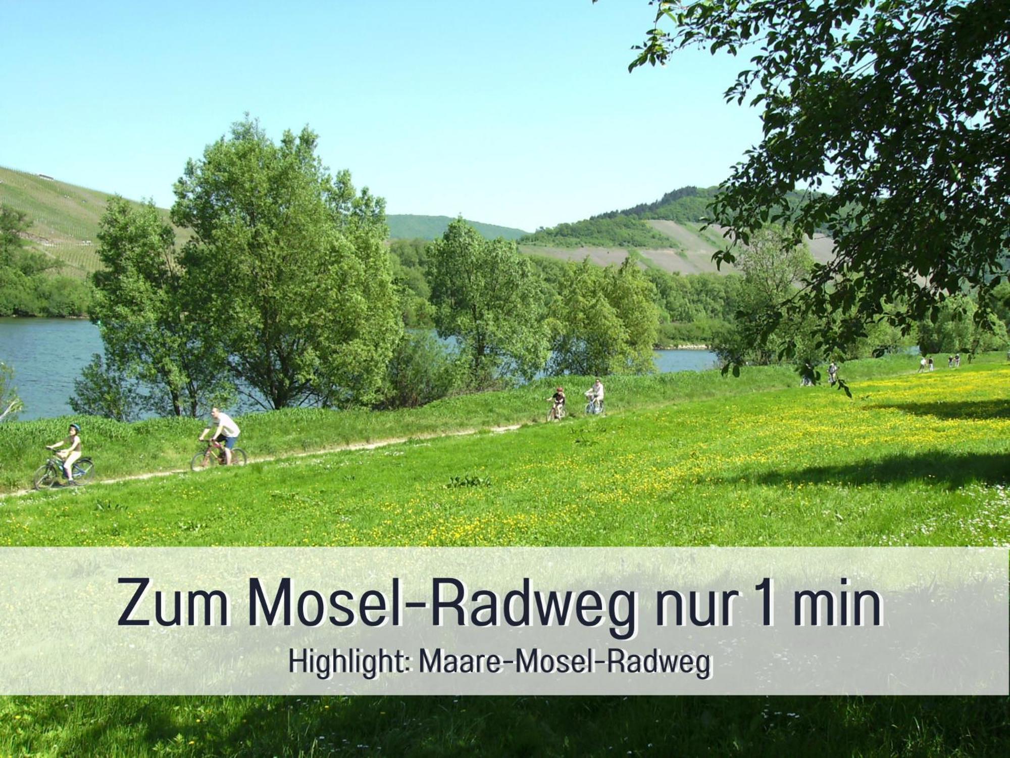 Erden Ferienhaus Schwaab-Scherr, Genau Zwischen Bernkastel-Kues Und Traben-Trarbach, Mit Kostenlosem Oepnv-Ticket Fuer Bus Und Bahn, Parkplaetzen, Fahrradgarage Und Vielen Tipps מראה חיצוני תמונה
